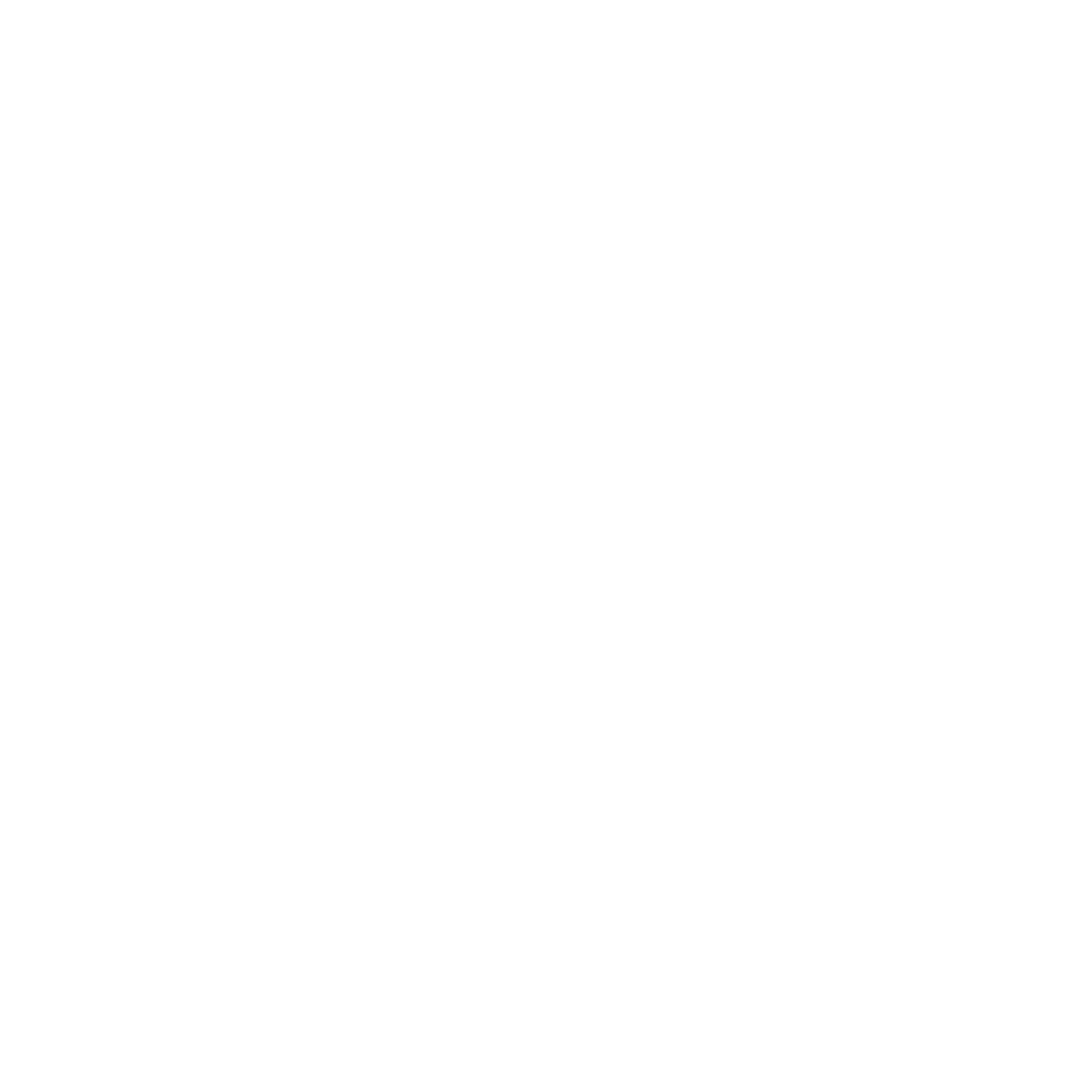 VSION